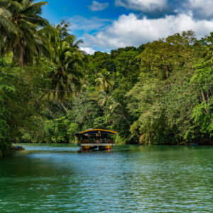 今日を必死に生きる女性たちの姿がまぶしい痛快エンタメ映画『大コメ騒動』